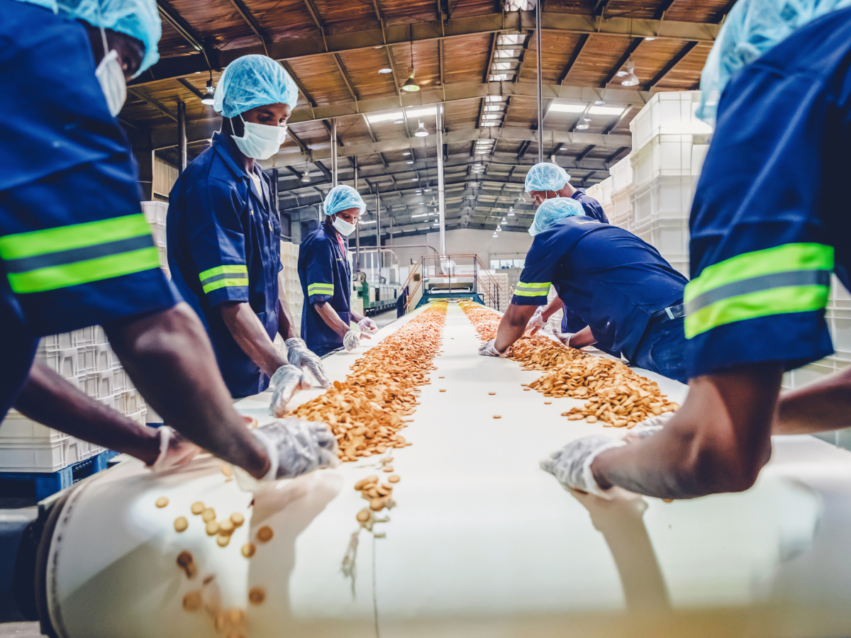 Food Processing Park | Parks | Dawa Industrial Zone